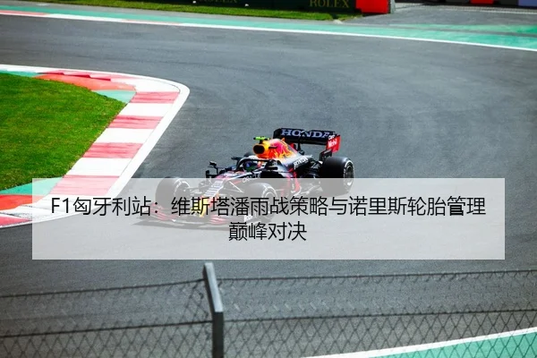 F1匈牙利站：维斯塔潘雨战策略与诺里斯轮胎管理巅峰对决