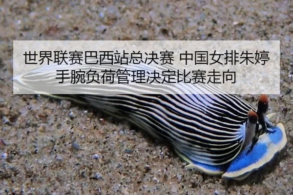 shi-jie-lian-sai-ba-xi-zhan-zong-jue-sai-zhong-guo-nv-pai-zhu-ting-shou-wan-fu-he-guan-li-jue-ding-bi-sai-zou-xiang-2-581.jpg